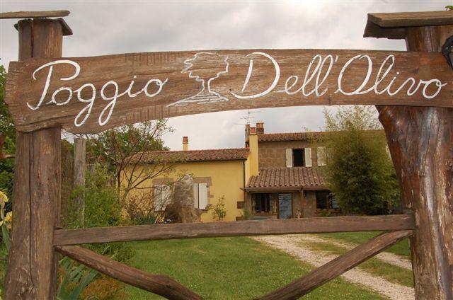 Poggio Dell'Olivo Villa Pitigliano Exterior photo